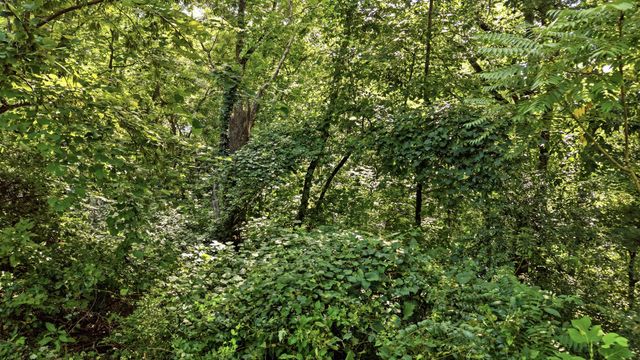 1430 Gold Crest Drive, Hixson, TN 37343