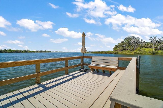 605 SANDLAKE COURT, Mount Dora, FL 32757