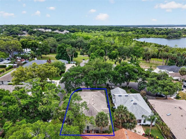 605 SANDLAKE COURT, Mount Dora, FL 32757
