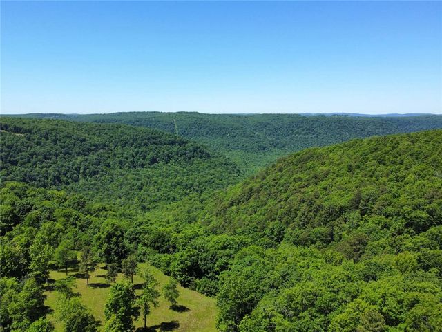 116 NC 8826, Jasper, AR 72641