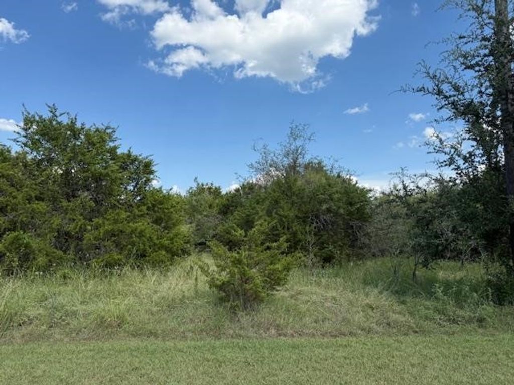 39231 Cedar Park Drive, Whitney, TX 76692