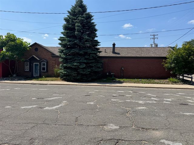 177 S Benson Street, White Cloud, MI 49349