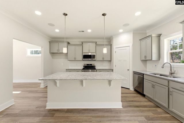 209 Quiet Side Court, Blythewood, SC 29016