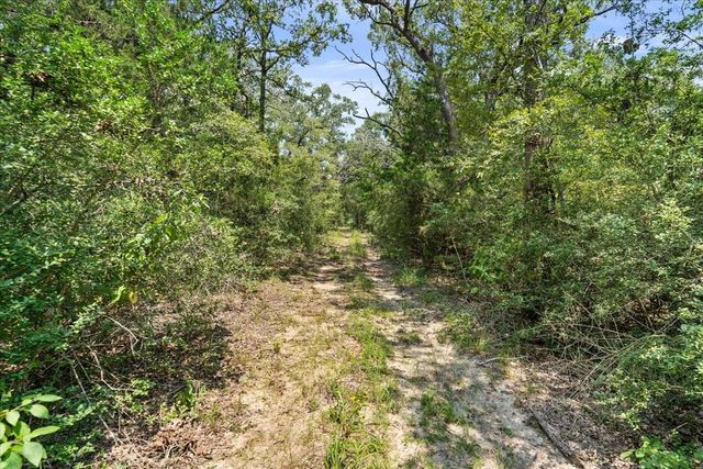 00 Lcr 732, Thornton, TX 76687