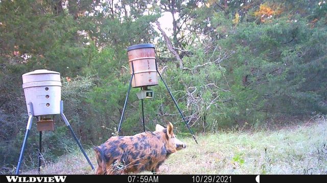 00 Lcr 732, Thornton, TX 76687