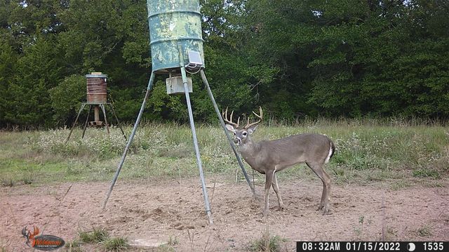 00 Lcr 732, Thornton, TX 76687