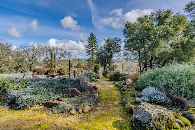 15900 State Highway 88, Jackson, CA 95642