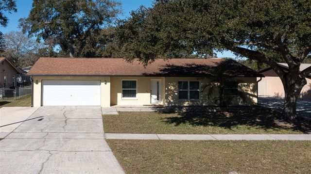 1255 FOGGY RIDGE PARKWAY, Lutz, FL 33559