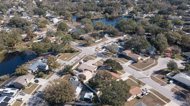 1255 FOGGY RIDGE PARKWAY, Lutz, FL 33559