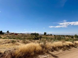 0 Ailanthus, Phelan, CA 92371