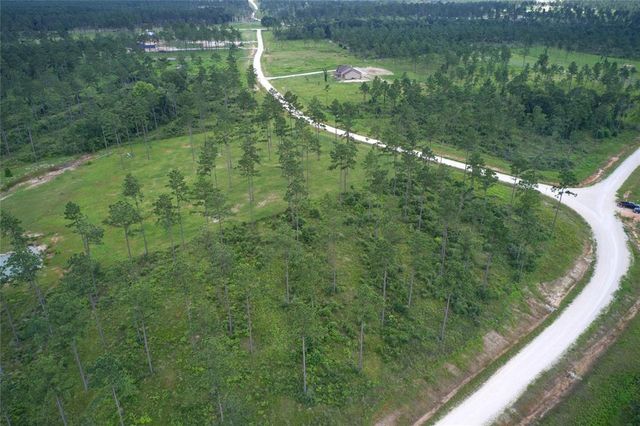 TBD Reveille Road, Livingston, TX 77351