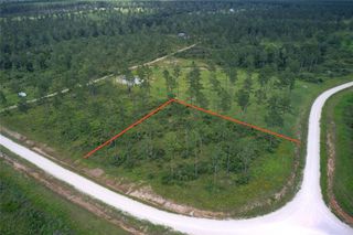 TBD Reveille Road, Livingston, TX 77351