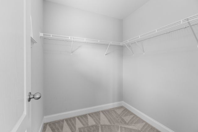 1040 Woodbury Falls Dr, Nashville, TN 37221