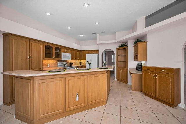 548 MANISHA PLACE, Tarpon Springs, FL 34688