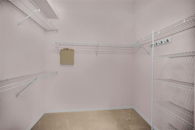 548 MANISHA PLACE, Tarpon Springs, FL 34688