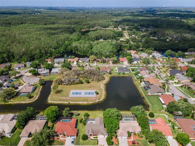 548 MANISHA PLACE, Tarpon Springs, FL 34688