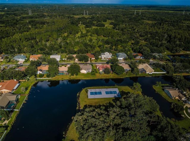 548 MANISHA PLACE, Tarpon Springs, FL 34688