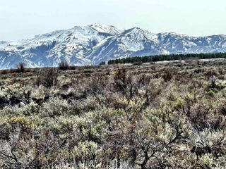 TBD Long Gulch Rd, Prairie, ID 83647