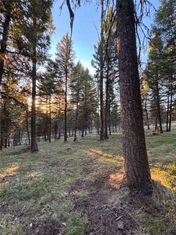 139 Montana View Drive, Seeley Lake, MT 59868