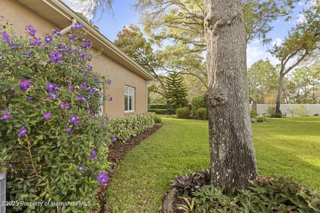 4567 Secretariat Run, Spring Hill, FL 34609