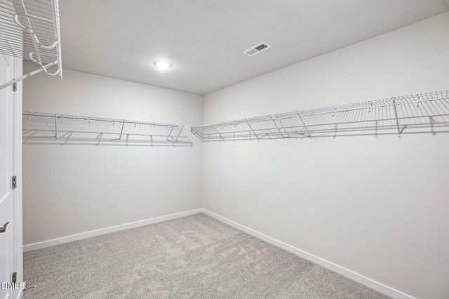 163 N Field Sparrow Way, Clayton, NC 27520