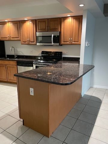 300 N STATE Street 4607, Chicago, IL 60654