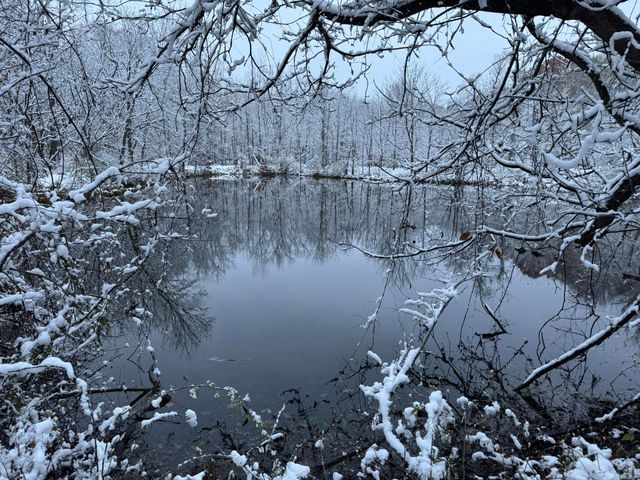 12441 Town Road, Parma, MI 49269