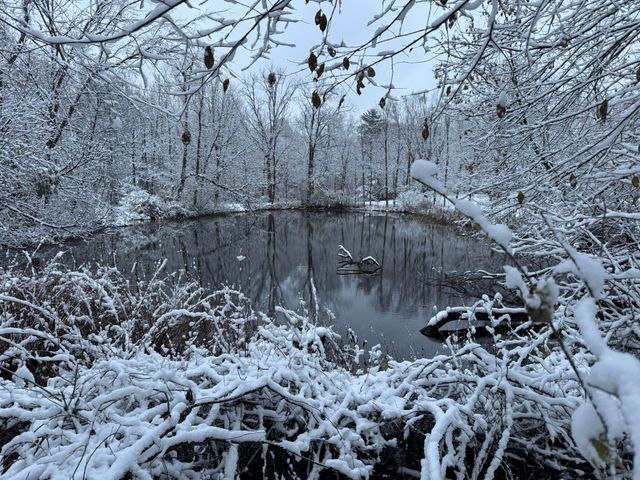 12441 Town Road, Parma, MI 49269