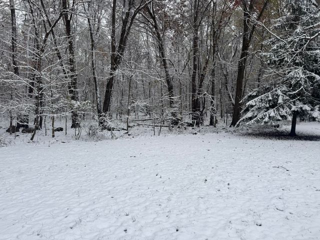 12441 Town Road, Parma, MI 49269