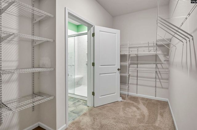 1312 Canopy Crest Lane, Chapin, SC 29036