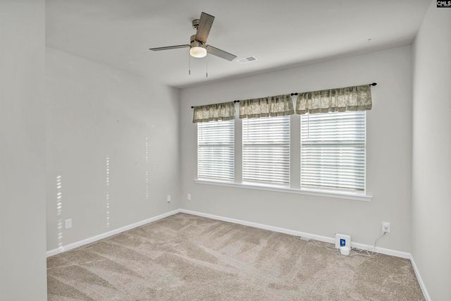 1312 Canopy Crest Lane, Chapin, SC 29036