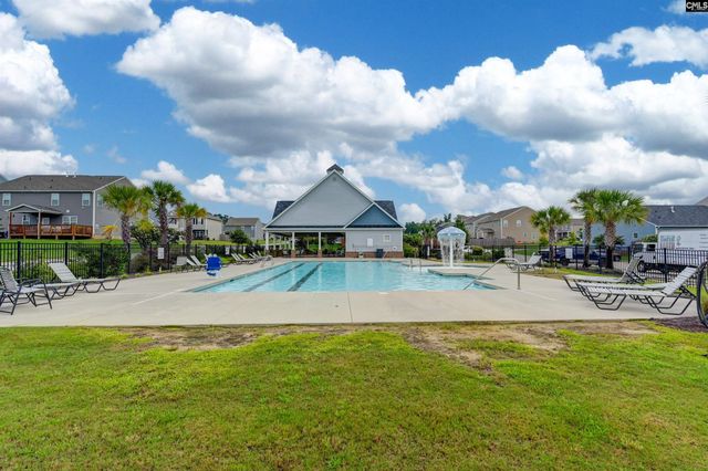 1312 Canopy Crest Lane, Chapin, SC 29036