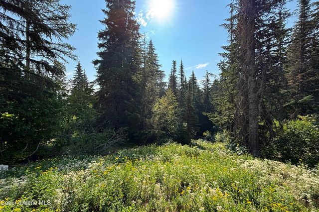 205 Ullr Dr, Sandpoint, ID 83864