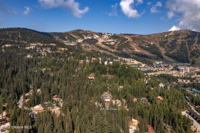 205 Ullr Dr, Sandpoint, ID 83864