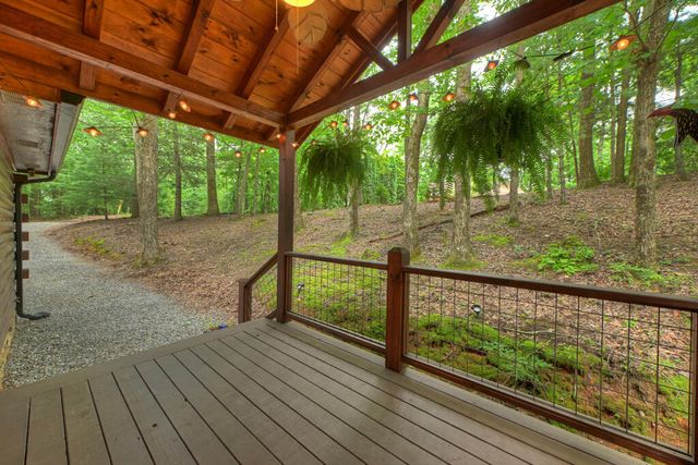 9 Casey Court, Blue Ridge, GA 30513