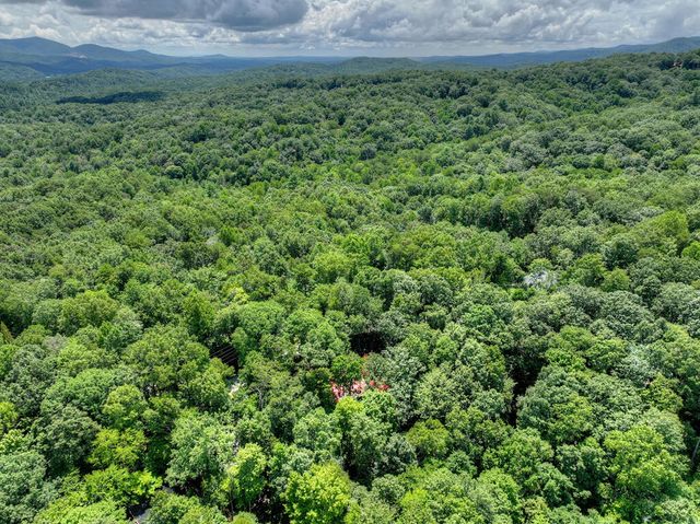 9 Casey Court, Blue Ridge, GA 30513