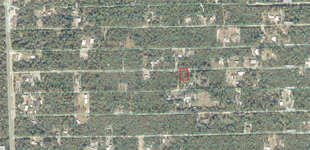 TBD NE 235TH STREET, Fort Mc Coy, FL 32134