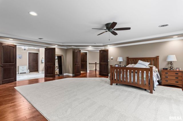 6644 REAGAN Drive, Cantrall, IL 62625