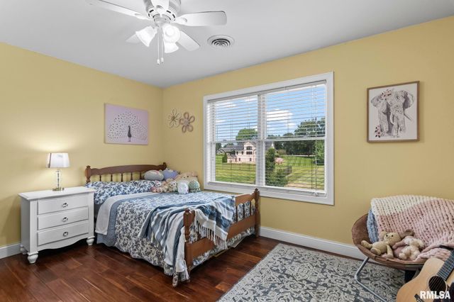 6644 REAGAN Drive, Cantrall, IL 62625