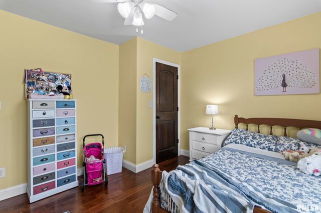 6644 REAGAN Drive, Cantrall, IL 62625