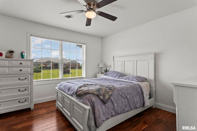 6644 REAGAN Drive, Cantrall, IL 62625