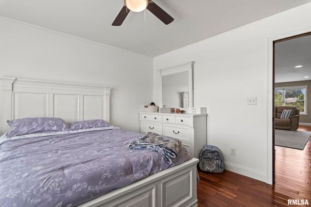 6644 REAGAN Drive, Cantrall, IL 62625