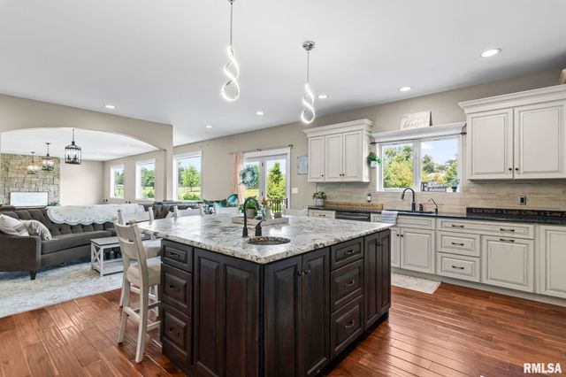 6644 REAGAN Drive, Cantrall, IL 62625