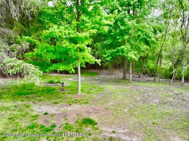 9103 Bridge Street, Dimondale, MI 48821