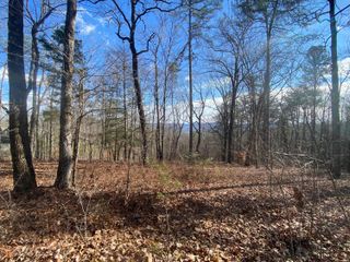 00 Bluff View Drive #558, Dunlap, TN 37327