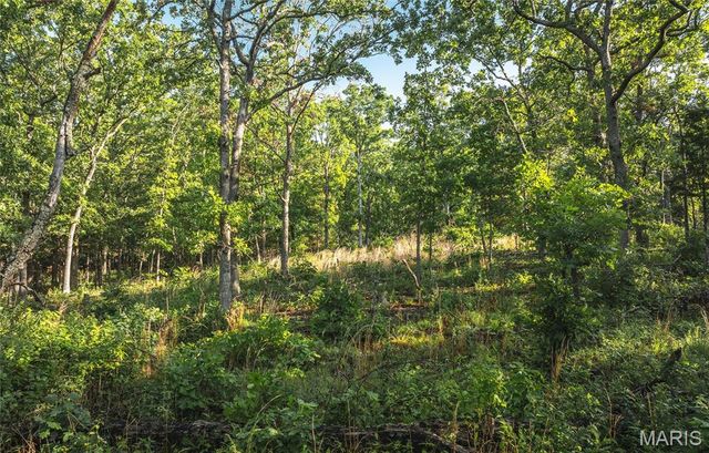 0 Highway B 38, Ellington, MO 63638