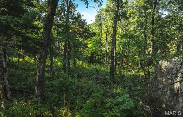 0 Highway B 38, Ellington, MO 63638