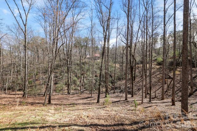 344 Wolf Trail, Lake Lure, NC 28746