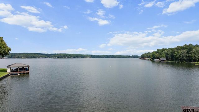 303 Palo Duro St, Scroggins, TX 75480