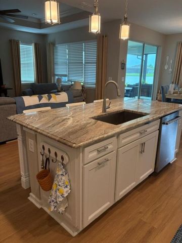 18498 COASTAL SHORE TERRACE, Land O Lakes, FL 34638